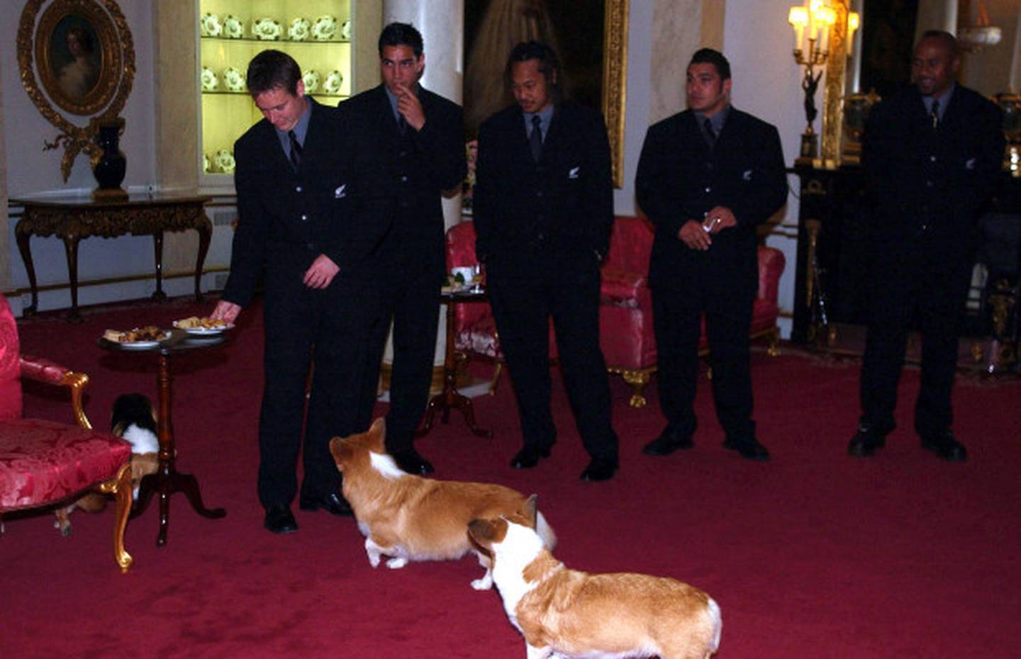 Andrew Mehrtens (far L) defends his sausage rolls from the Queen's corgis.